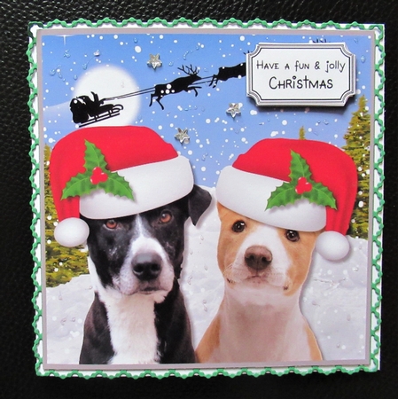 Santa Paws is coming by Davina Rundle