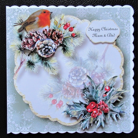 Gold Foil Transparent Christmas - Robin by Davina Rundle