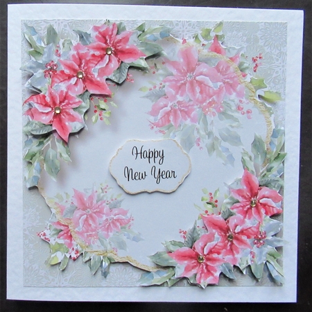Gold foil Transparent Christmas - Poinsettia by Davina Rundle