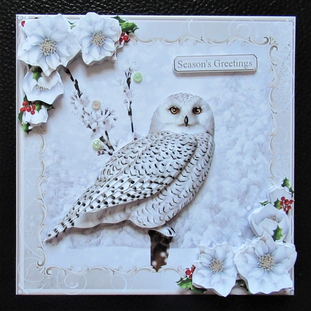 Snow Owl by Davina Rundle