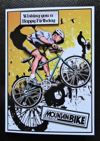 Mountain bike rider A5 by Davina Rundle