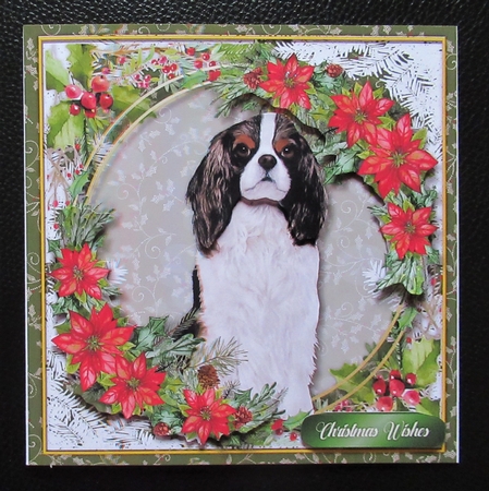 Gorgeous Black and White Cavaleir by Davina Rundle