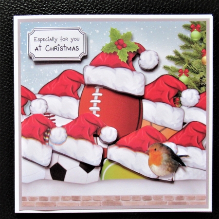 Christmas Sports Mad by Davina Rundle