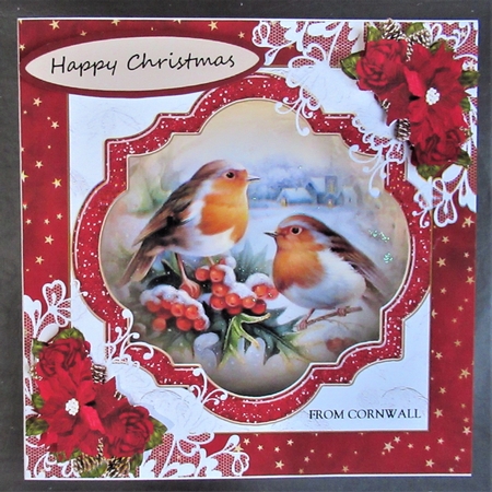 Christmas Robins by Davina Rundle