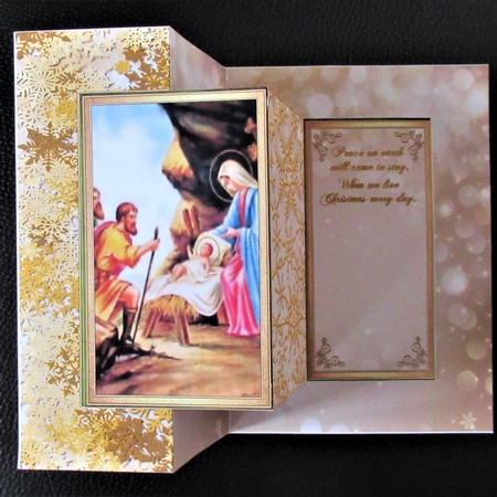 7x5 Z fold card gold version 3 by Davina Rundle