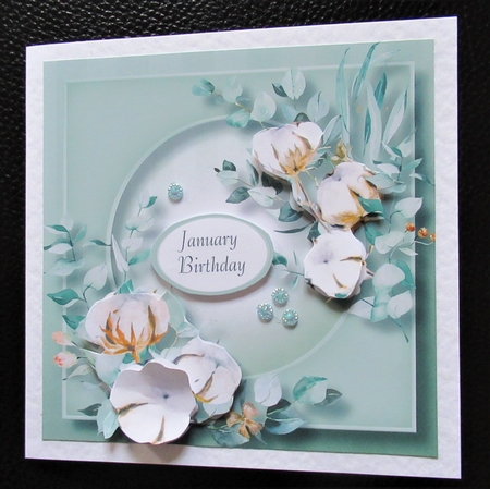Winter Cotton & Eucalyptus by Davina Rundle