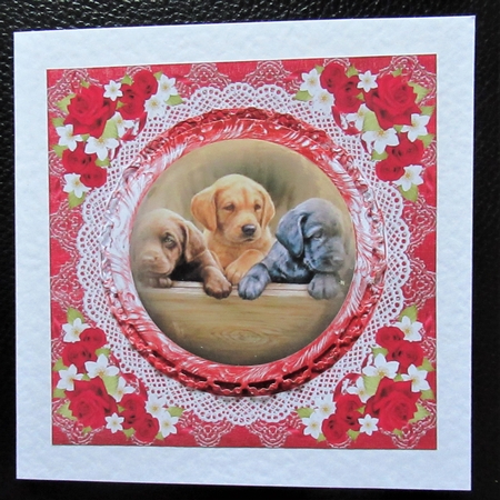 3 Red floral pets card fronts/toppers 1 by Davina Rundle