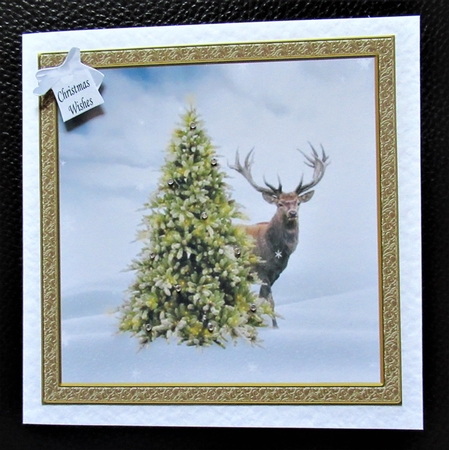 CHRISTMAS IS COMING SOON STAG by Davina Rundle