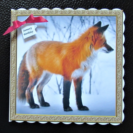 CHRISTMAS IS COMING SOON FOX by Davina Rundle