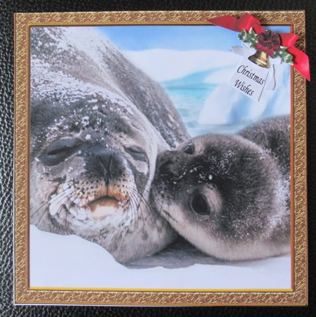 CHRISTMAS IS COMING SOON SEALS by Davina Rundle