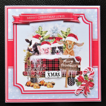Animal Truck Quick Card  by Davina Rundle