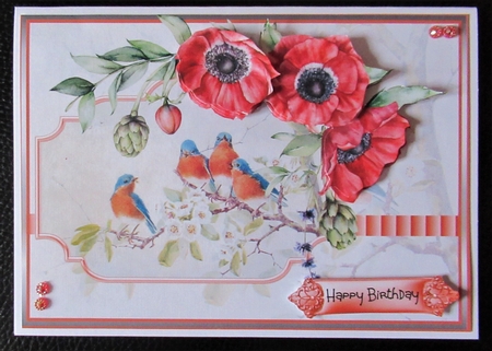 Anemone and birds A5 card by Davina Rundle