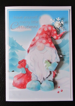 Christmas Gnome 2 by Davina Rundle