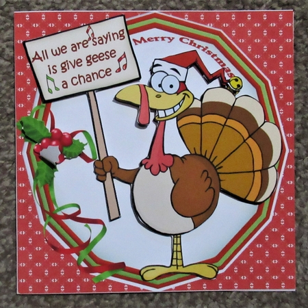 Give geese a chance by Davina Rundle