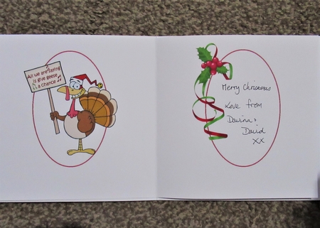 Give geese a chance insert by Davina Rundle