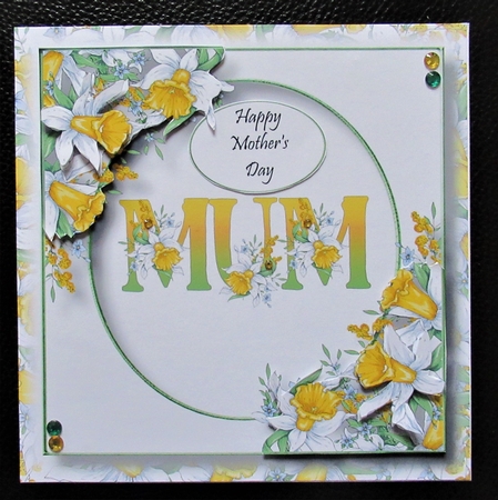 Beautiful Spring Daffodils- Mum by Davina Rundle