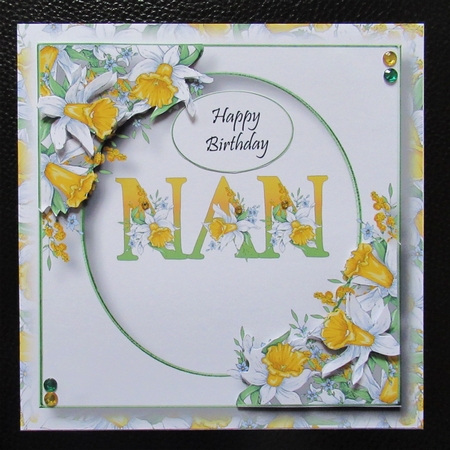 Beautiful Spring Daffodils - Nan by Davina Rundle