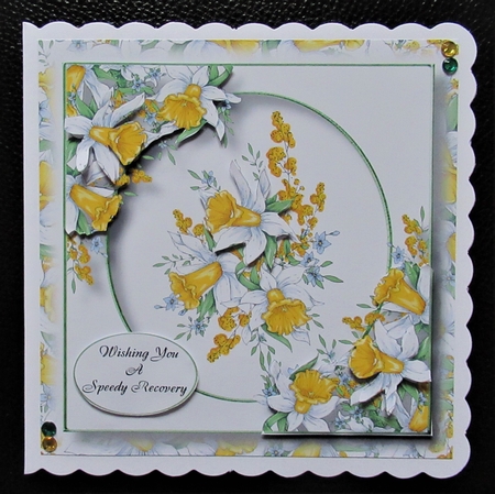 Beautiful Spring Daffodils  by Davina Rundle