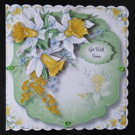 Spring Daffodils by Davina Rundle