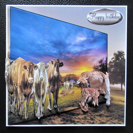 cows in pasture  by Davina Rundle