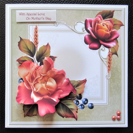 Autumn rose 7x7 by Davina Rundle