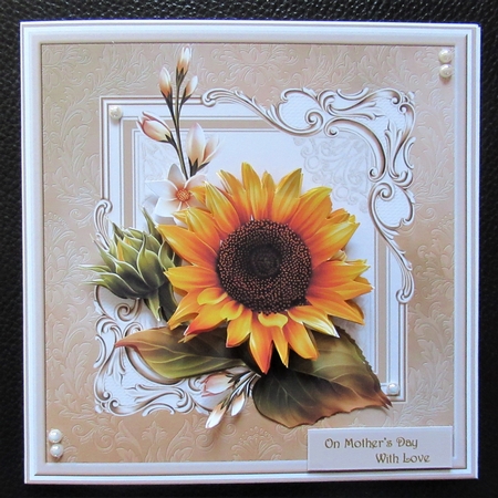 Sunflower 7x7 by Davina Rundle