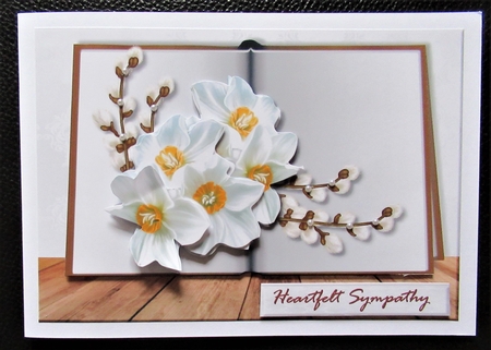 Bumperkit  Sympathy  Books  by Davina Rundle