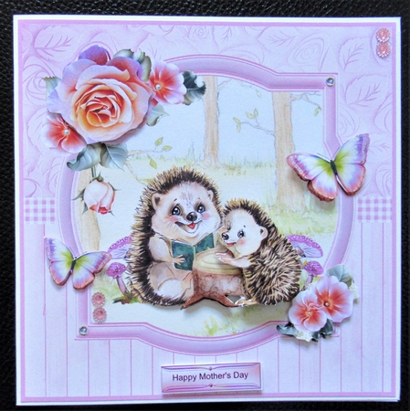 Mothers Day / Birthday - Hedgehogs Mini Kit & Decoupage by Davina Rundle