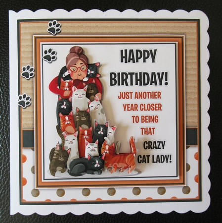 Crazy Cat Lady by Davina Rundle