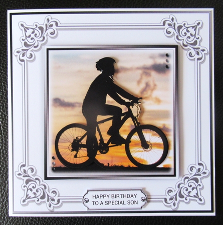 The Cyclist  by Davina Rundle
