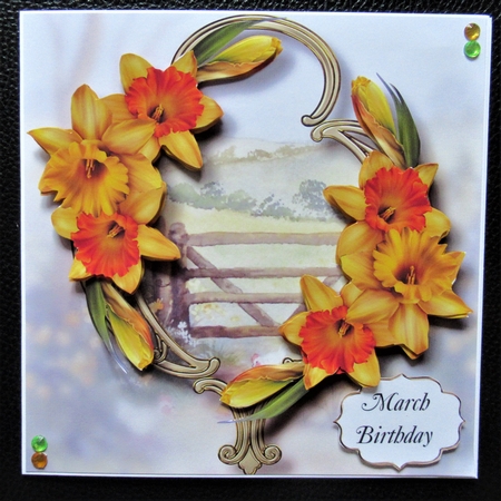Gorgeous Flowers On Golden Frame - Daffodils by Davina Rundle