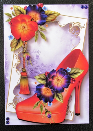 Fabulous Shoes - Wild Roses by Davina Rundle