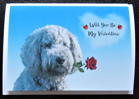 Valentine Dog by Davina Rundle
