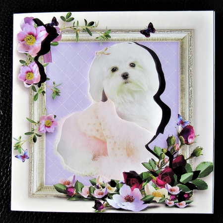 A Ladys Companion by Davina Rundle