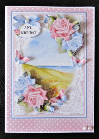 Lace and Roses 23 by Davina Rundle