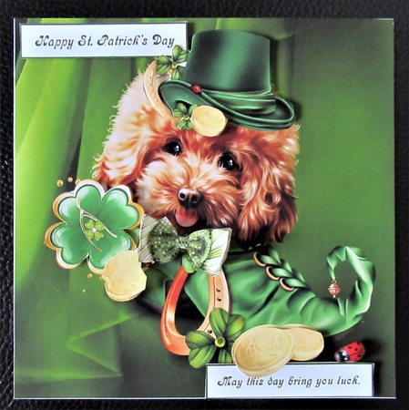 St. Patricks Lucky Day Dog Topper by Davina Rundle