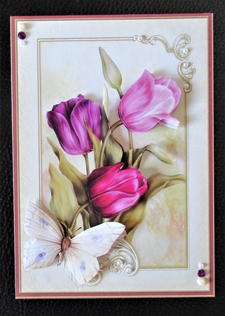 Pink Tulips 5x7 by Davina Rundle