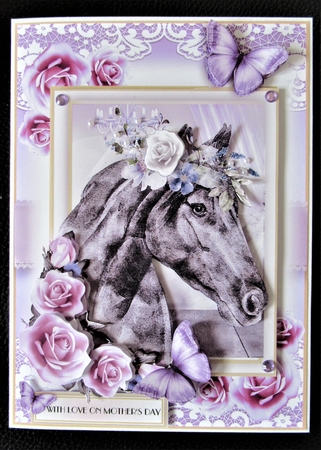 My Beautiful Horse by Davina Rundle