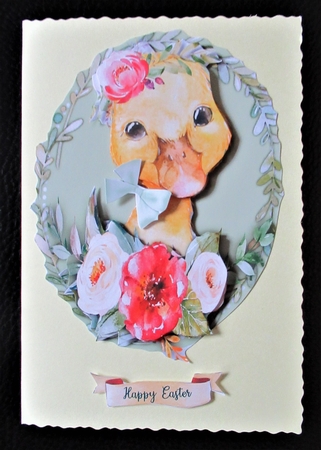 Beautiful Baby Duck  by Davina Rundle