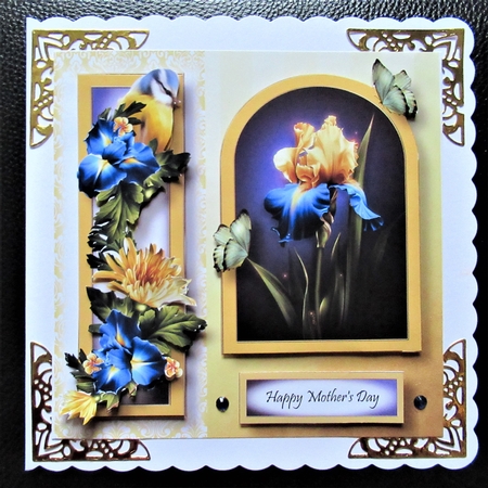 Floral Arched Frame - Spring Iris by Davina Rundle