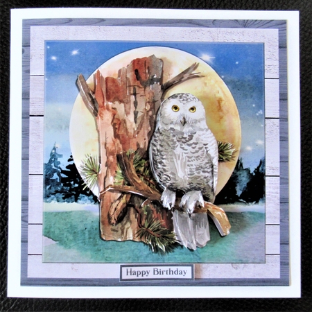 OWL MOON MINI KIT by Davina Rundle