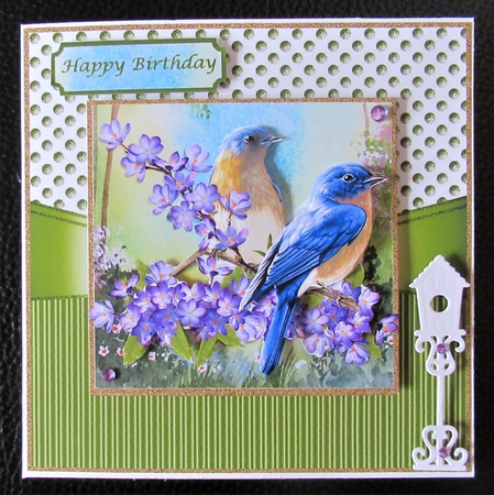 Framed Floral Birds by Davina Rundle