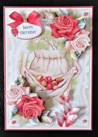 Lace and Roses 39 by Davina Rundle