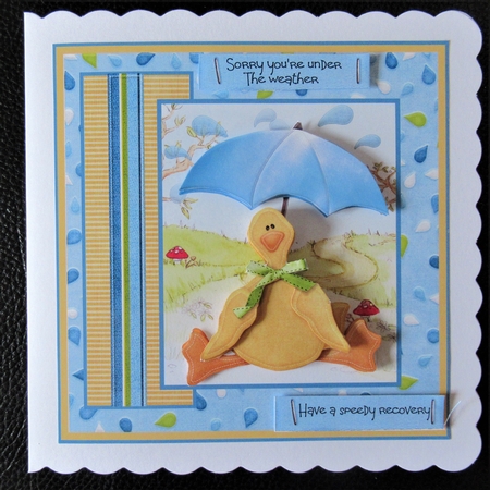 Duck under the weather 7x7 by Davina Rundle