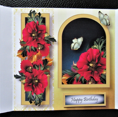 Floral Arched Frame - Poppies 8x8 by Davina Rundle