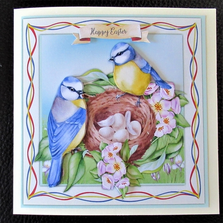 Beautiful Bluetits  Nest by Davina Rundle