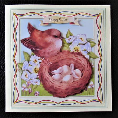 Beautiful Wrens  Nest by Davina Rundle