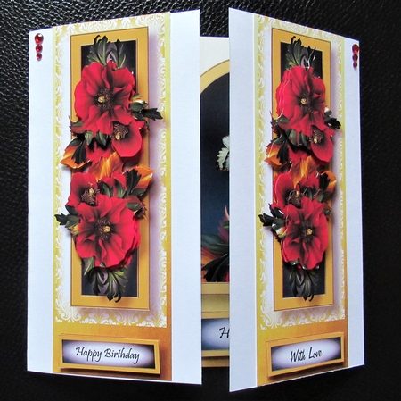 Floral Lge DL - Poppies by Davina Rundle