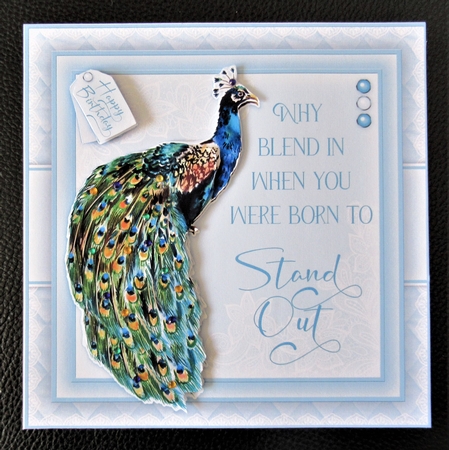 Peacock Birthday Mini Kit by Davina Rundle