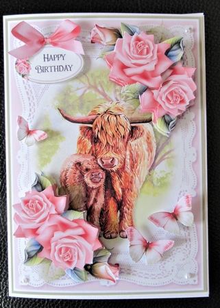 Lace and Roses 47 by Davina Rundle